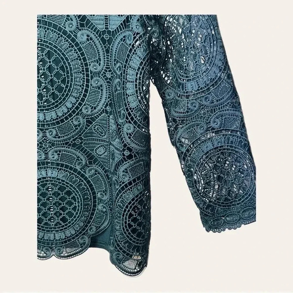 0389. JAMES COVIELLO NEW YORK EMBROIDERED TOP SHEER FRONT SOLID BACK SIZE XSMALL - Picture 5 of 11